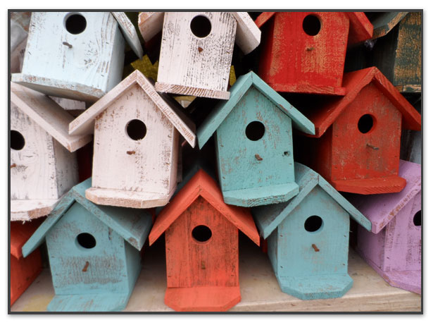 bird houses