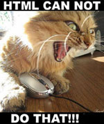 image of cat with computer mouse