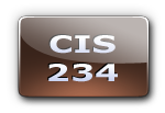 CIS 234