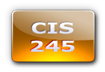 CIS 245