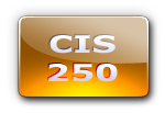 CIS 250