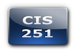 CIS 251