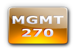 MGMT 270