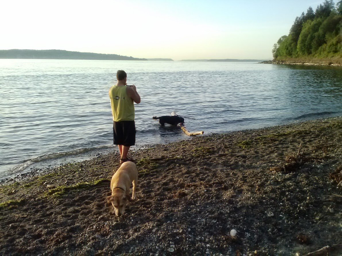 Lux and King at the our Family Beach