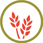 wheat crust icon